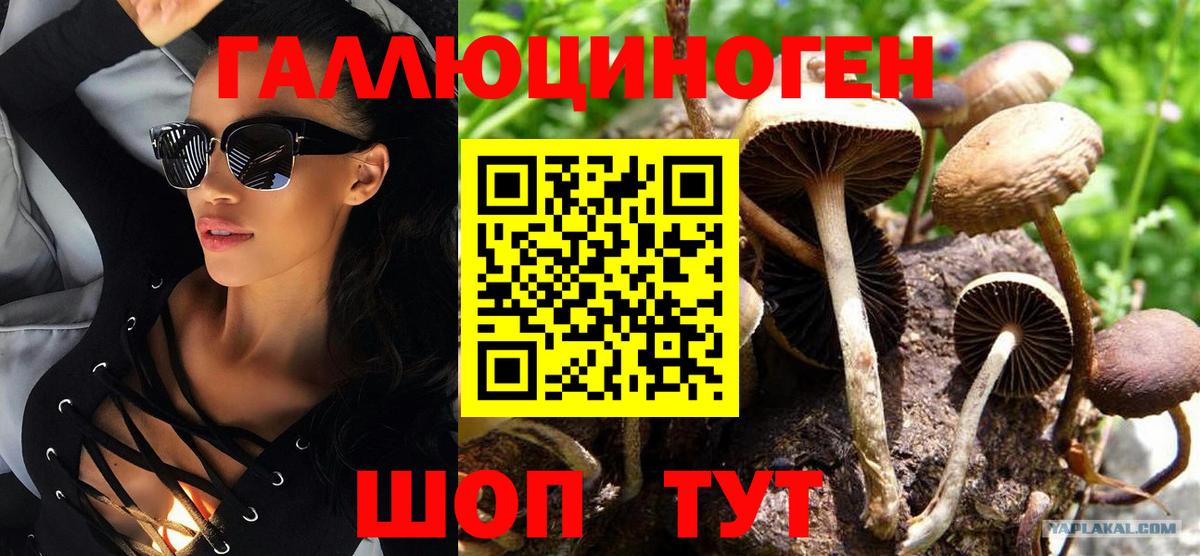 Новоалександровск  Псилоцибиновые грибы Cubensis  Псилоцибиновые грибы Psilocybine cubensis  Вход с VPN 