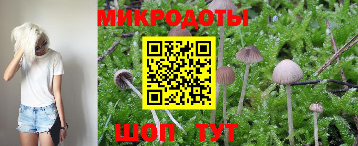 Галлюциногенные грибы мицелий Новоалександровск