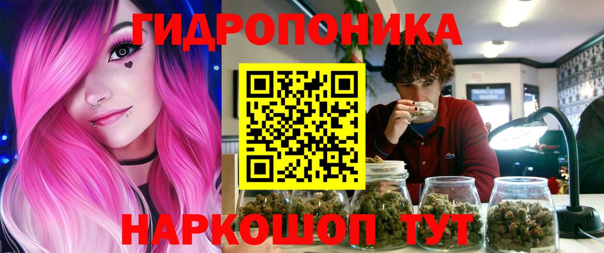Марихуана индика  Конопля сатива  МАРИХУАНА планчик  Вход с VPN  Новоалександровск 